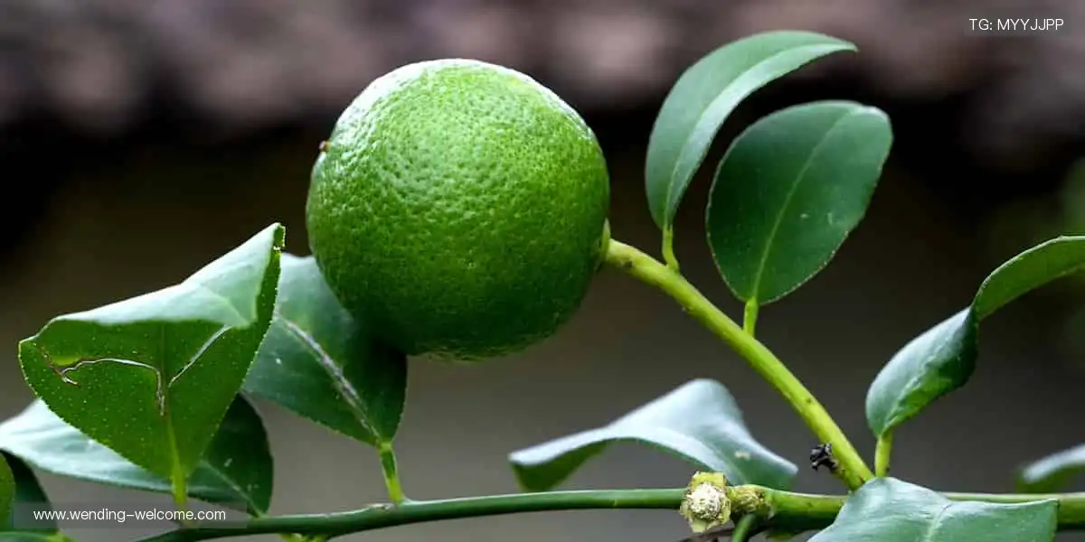巅峰对决，见证奇迹！⚽️
